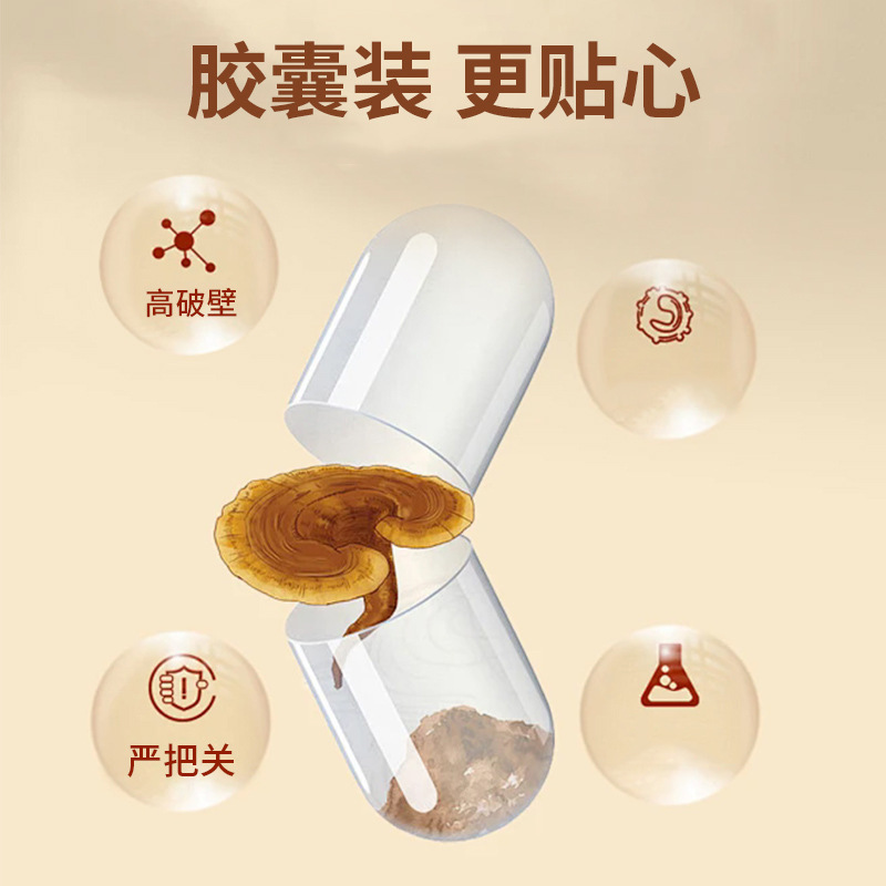 碧迪牌破壁灵芝孢子粉胶囊