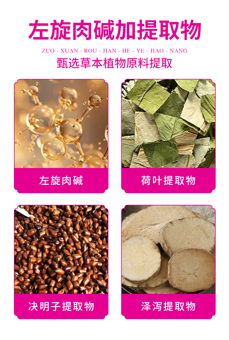 左旋肉碱加提取物，甄选草本植物原料提取